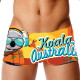 SWEAMS TRUNKS KOALA AUSTRALIA Sunset Orange - Boxer homme